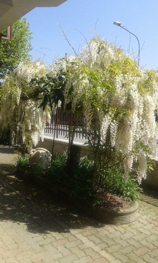 B&B Candiolo Comfort Esterno foto